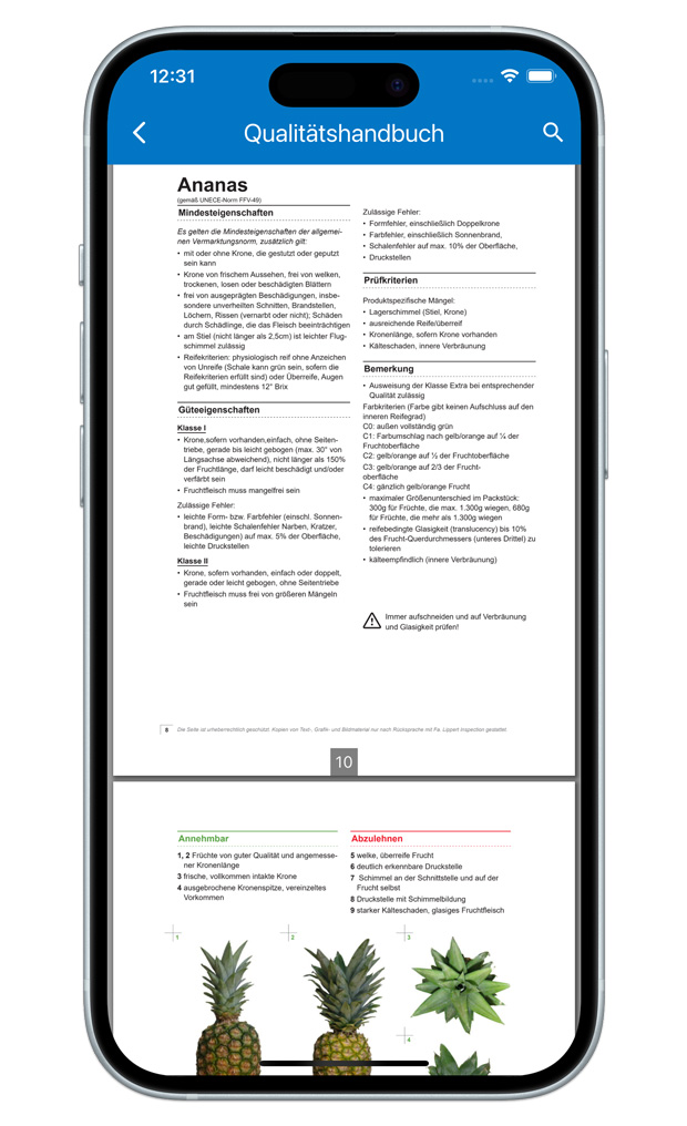 Offline Normen Feature